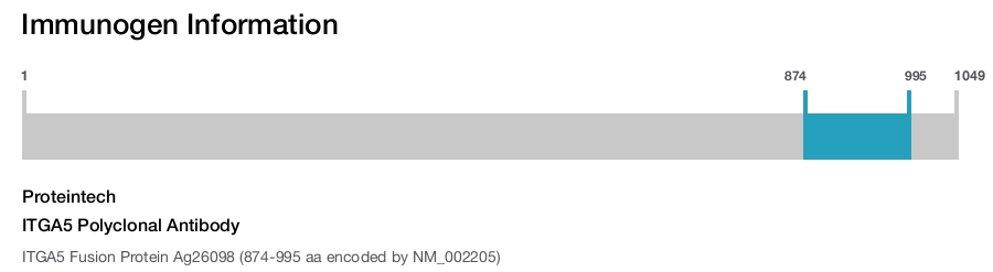 ITGA5 Polyclonal Antibody