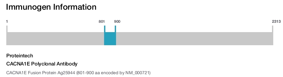 CACNA1E Polyclonal Antibody