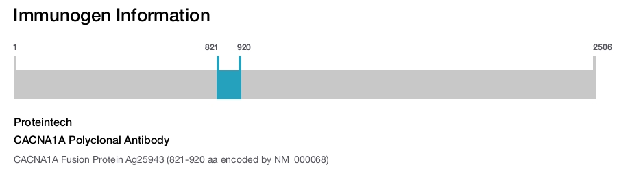 CACNA1A Polyclonal Antibody