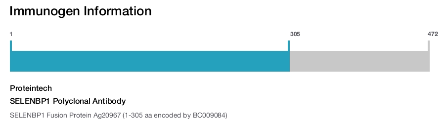 SELENBP1 Polyclonal Antibody