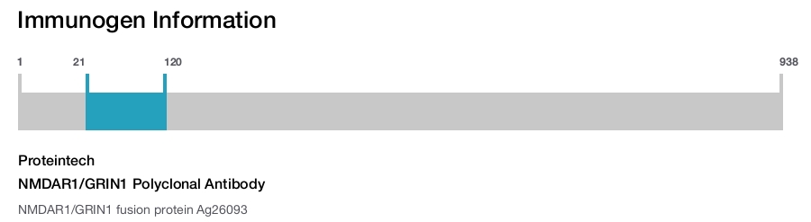 NMDAR1/GRIN1 Polyclonal Antibody