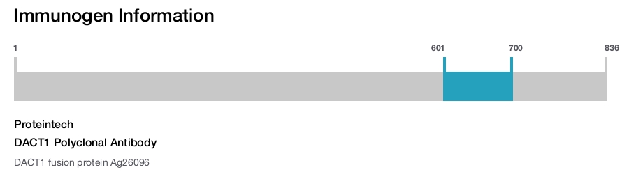 DACT1 Polyclonal Antibody