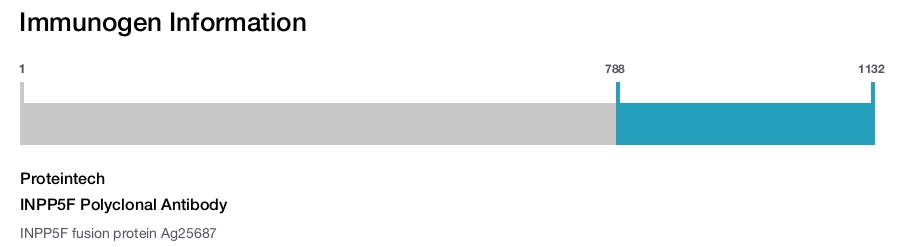 INPP5F Polyclonal Antibody