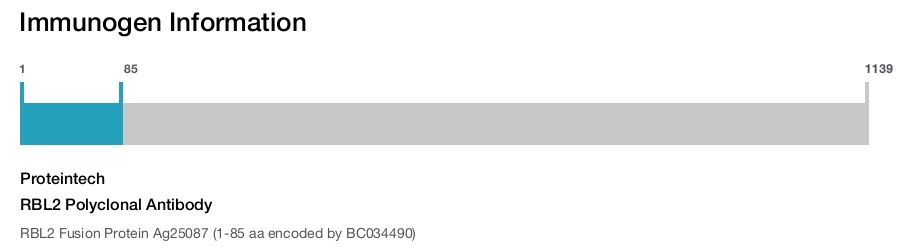 RBL2 Polyclonal Antibody