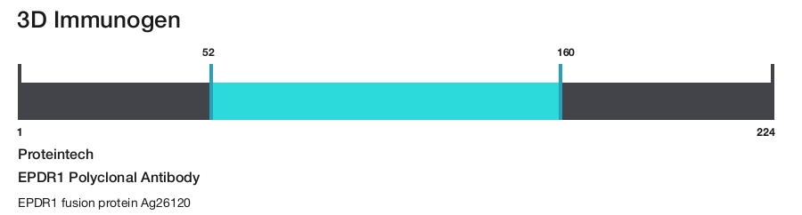 EPDR1 Polyclonal Antibody