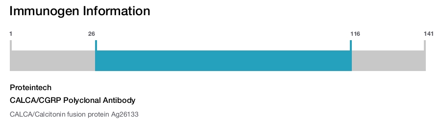 CALCA/CGRP Polyclonal Antibody