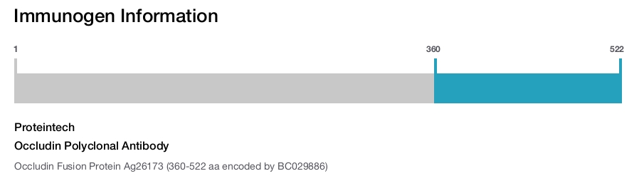 Occludin Polyclonal Antibody