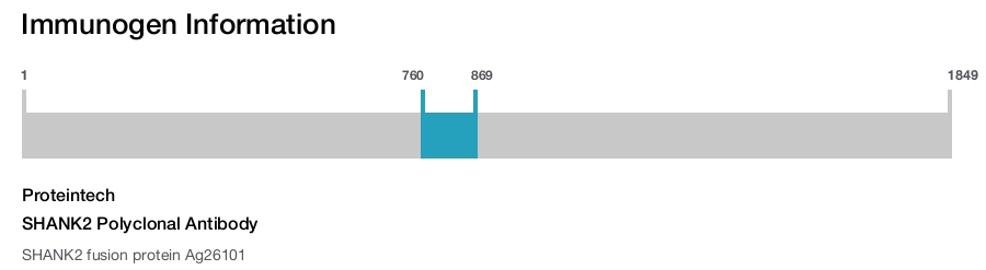 SHANK2 Polyclonal Antibody