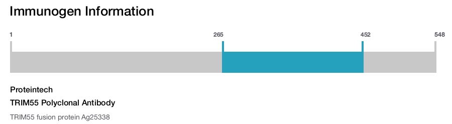 TRIM55 Polyclonal Antibody