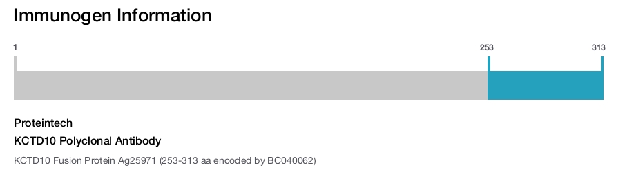 KCTD10 Polyclonal Antibody