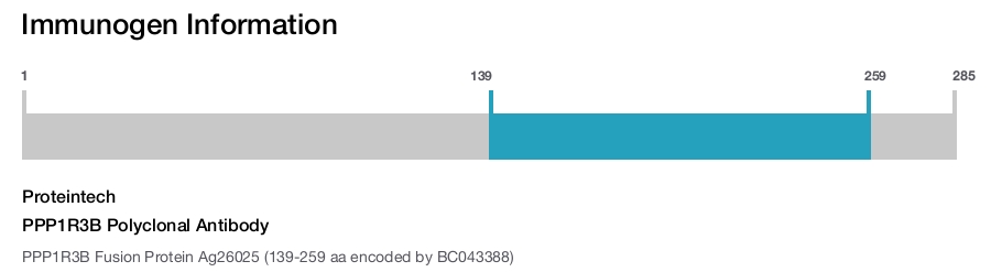 PPP1R3B Polyclonal Antibody