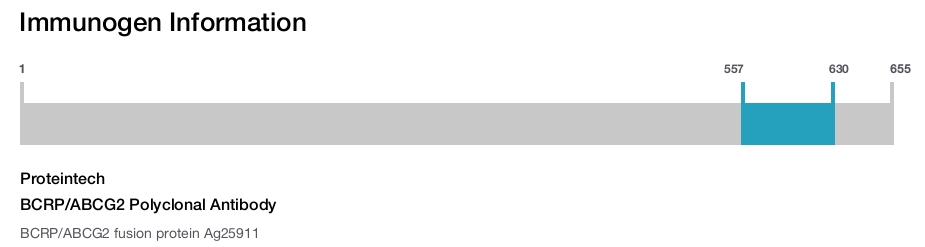 BCRP/ABCG2 Polyclonal Antibody