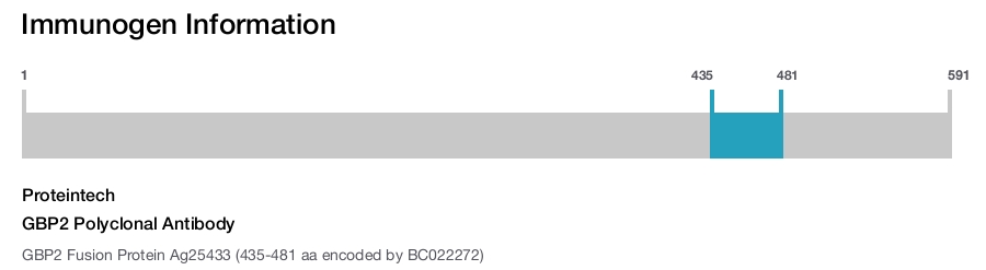 GBP2 Polyclonal Antibody