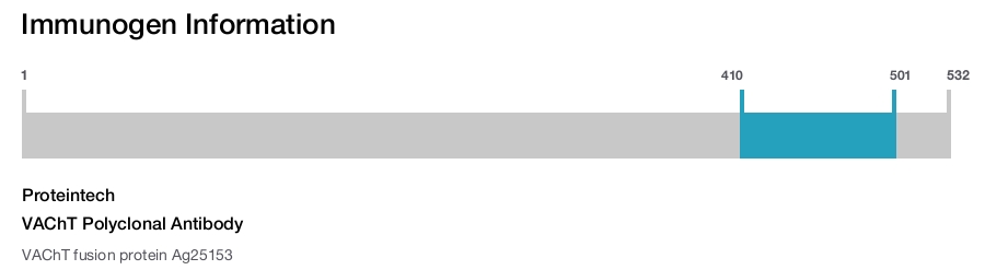 VAChT Polyclonal Antibody