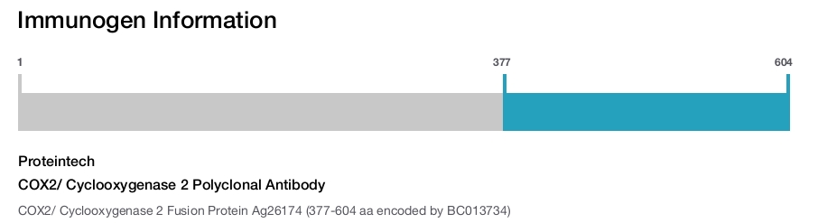 COX2/ Cyclooxygenase 2 Polyclonal Antibody