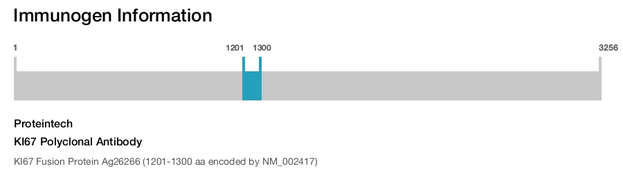 KI67 Polyclonal Antibody