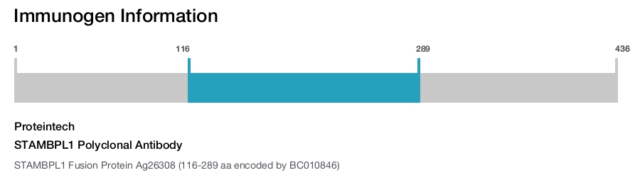STAMBPL1 Polyclonal Antibody