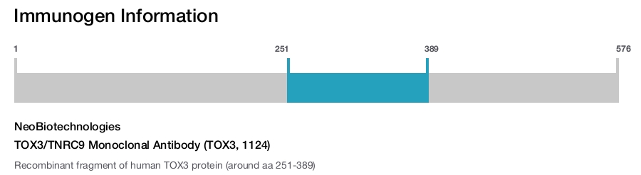 TOX3/TNRC9 Monoclonal Antibody (TOX3, 1124)
