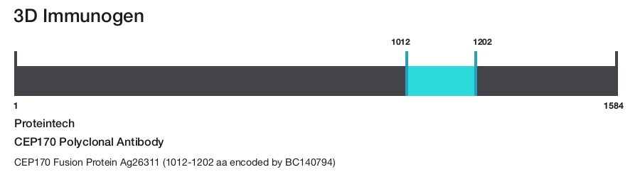 CEP170 Polyclonal Antibody