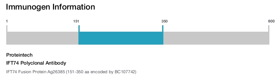 IFT74 Polyclonal Antibody