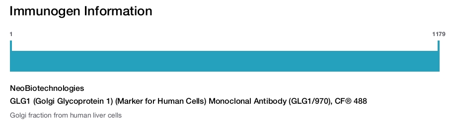 GLG1 (Golgi Glycoprotein 1) (Marker for Human Cells) Monoclonal Antibody (GLG1/970), CF&reg; 488