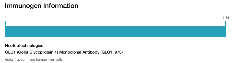 GLG1 (Golgi Glycoprotein 1) Monoclonal Antibody (GLG1, 970)
