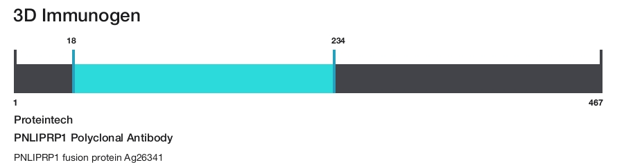 PNLIPRP1 Polyclonal Antibody