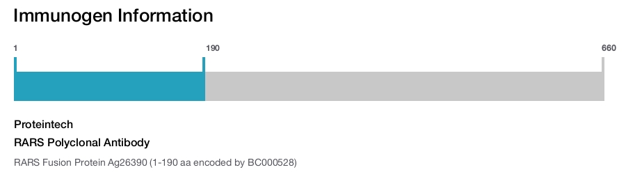 RARS Polyclonal Antibody