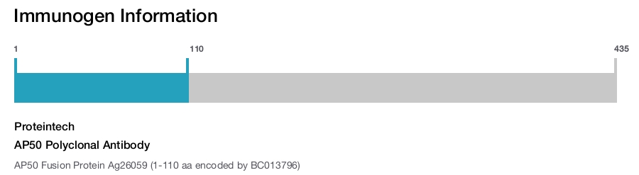 AP50 Polyclonal Antibody