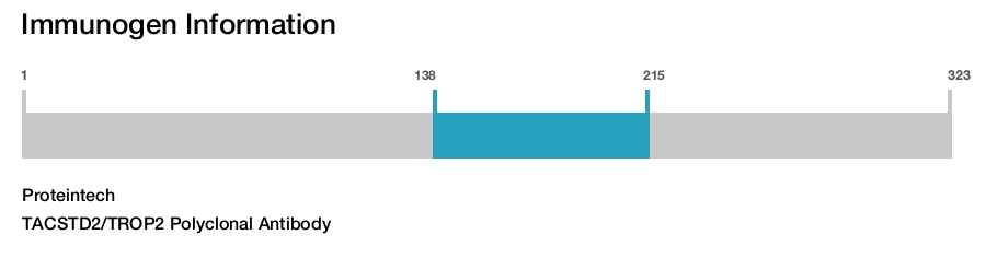 TACSTD2/TROP2 Polyclonal Antibody