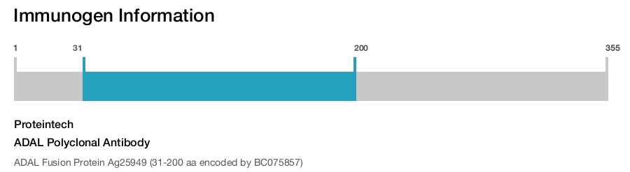 ADAL Polyclonal Antibody