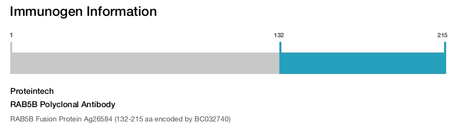 RAB5B Polyclonal Antibody