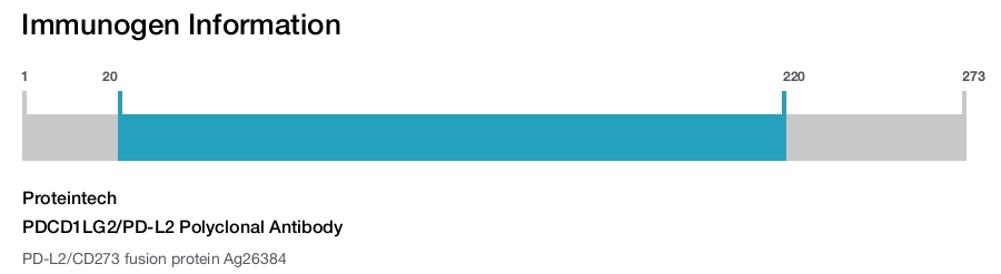 PDCD1LG2/PD-L2 Polyclonal Antibody