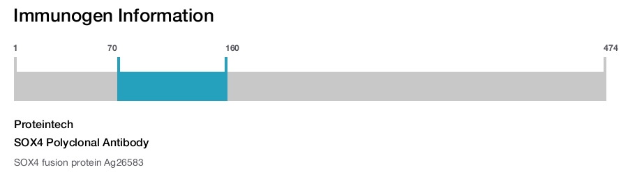 SOX4 Polyclonal Antibody