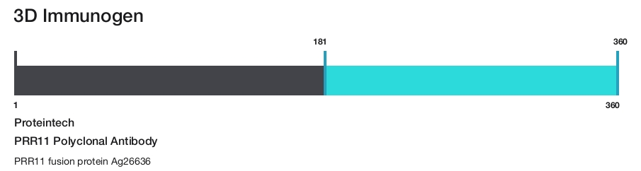 PRR11 Polyclonal Antibody