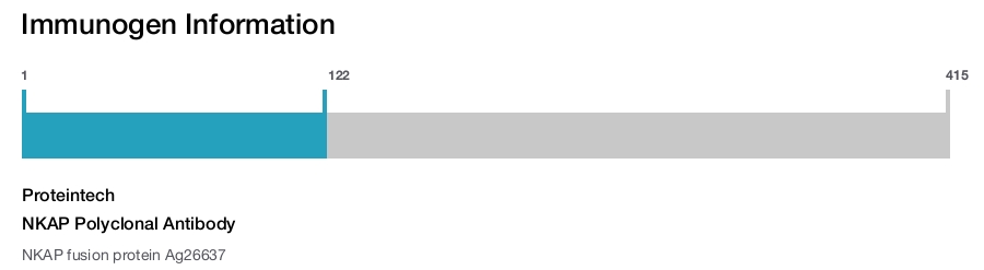 NKAP Polyclonal Antibody