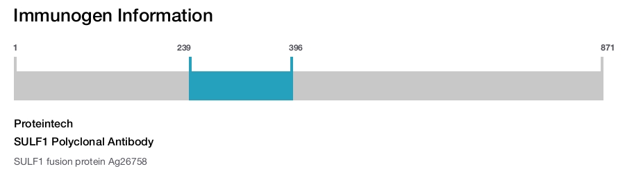 SULF1 Polyclonal Antibody