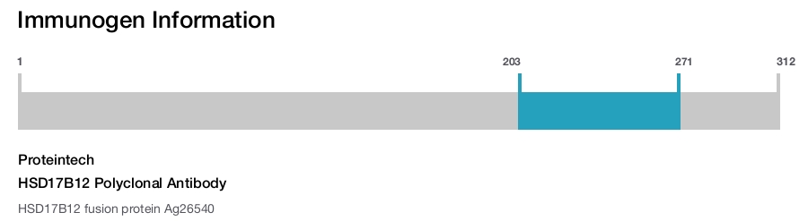 HSD17B12 Polyclonal Antibody