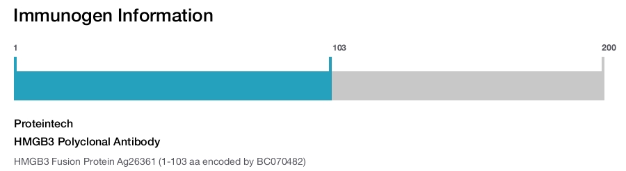 HMGB3 Polyclonal Antibody