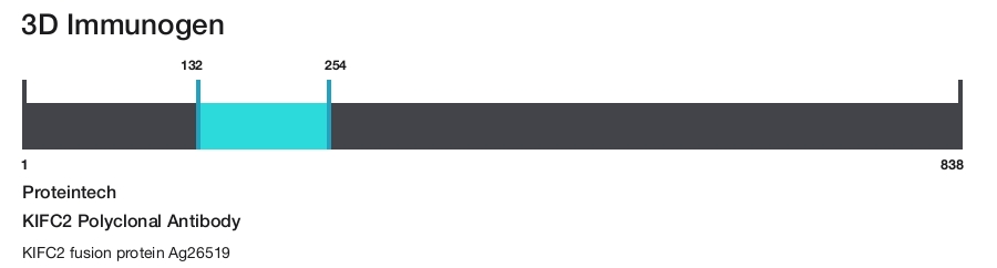 KIFC2 Polyclonal Antibody