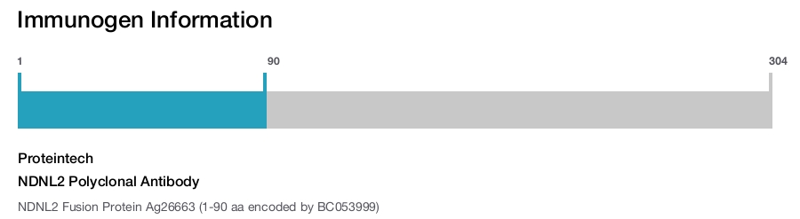 NDNL2 Polyclonal Antibody