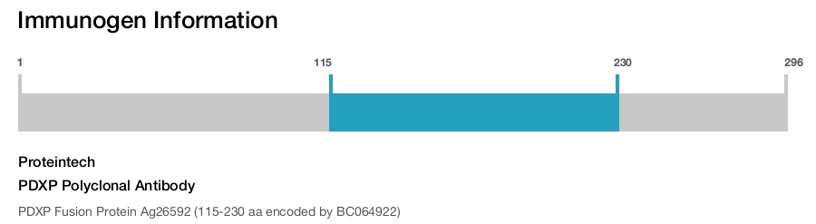 PDXP Polyclonal Antibody