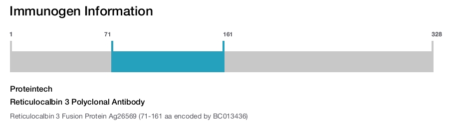 Reticulocalbin 3 Polyclonal Antibody
