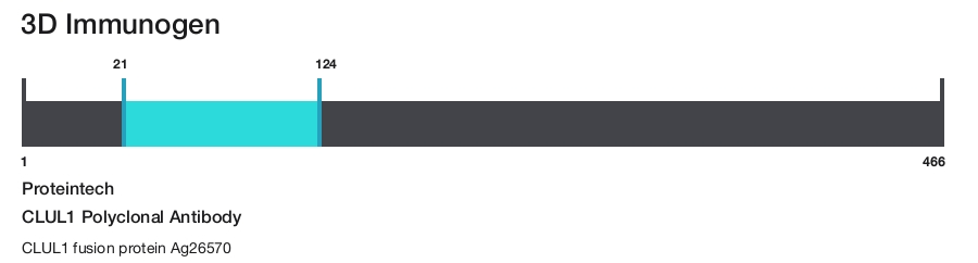 CLUL1 Polyclonal Antibody