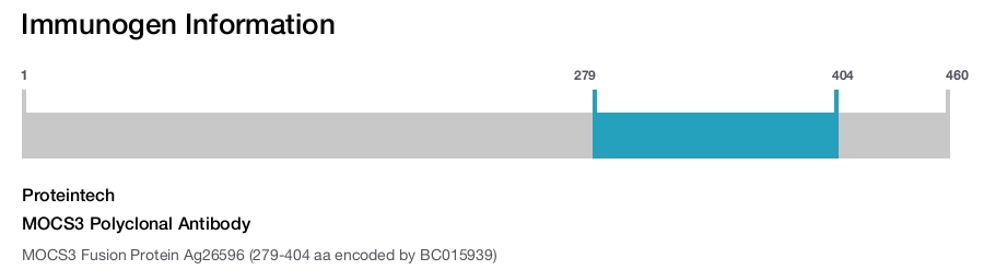 MOCS3 Polyclonal Antibody
