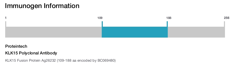 KLK15 Polyclonal Antibody