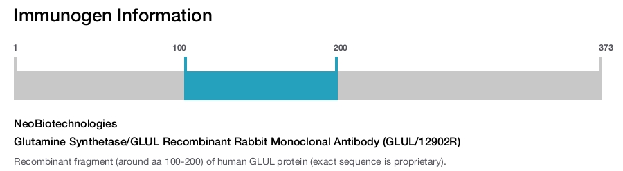 Glutamine Synthetase/GLUL Recombinant Rabbit Monoclonal Antibody (GLUL/12902R)