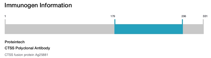 CTSS Polyclonal Antibody