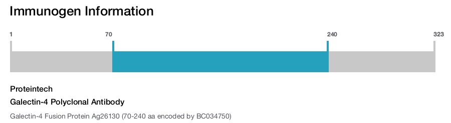 Galectin-4 Polyclonal Antibody
