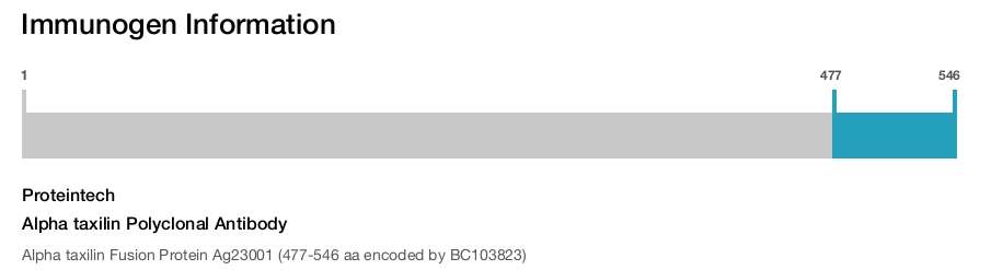 Alpha taxilin Polyclonal Antibody